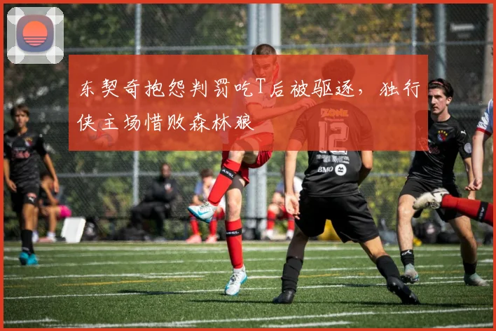 东契奇抱怨判罚吃T后被驱逐,独行侠主场惜败森林狼